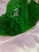 Cluster Clear Stone Flower Accent Ring With Zirconia / Crystals - Image 3
