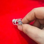 Bichua Silver (6.10)