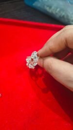 Bichua Silver (7.54) - Image 3