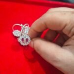 Bichua Silver (8.23 gm)