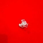 Bichua Silver (10.20)