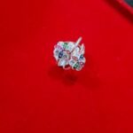 Bichua Silver 10.52
