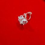 Bichua Silver 6.89 gm