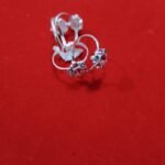 Bichua Silver 6.30