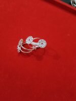 Bichua Silver 6.30