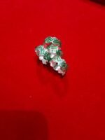 Bichua Silver 6.22