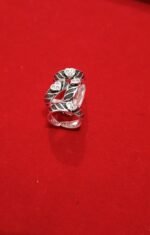 Bichua Silver 7.59 - Image 5