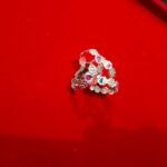 Bichua Silver 5.63