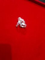 Bichua Silver 5.63 - Image 3